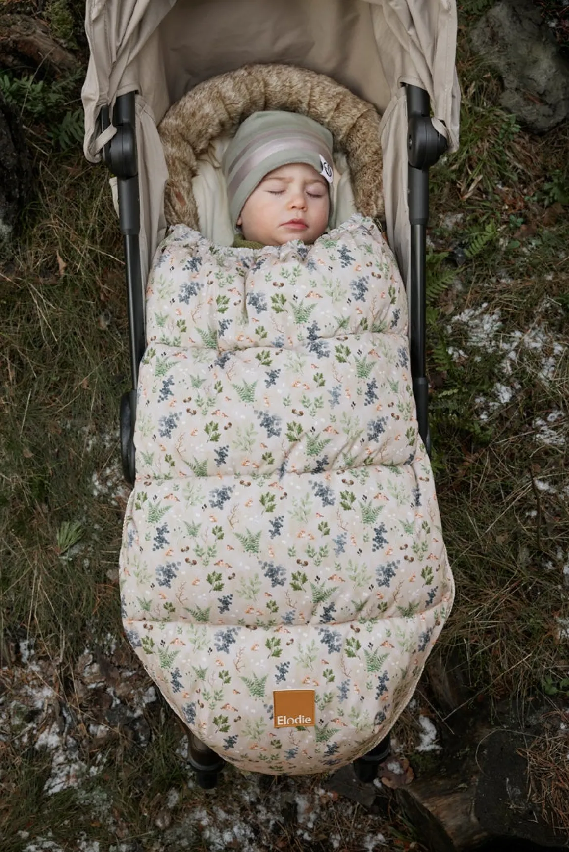 Elodie Kørepose, Fairytale Forest