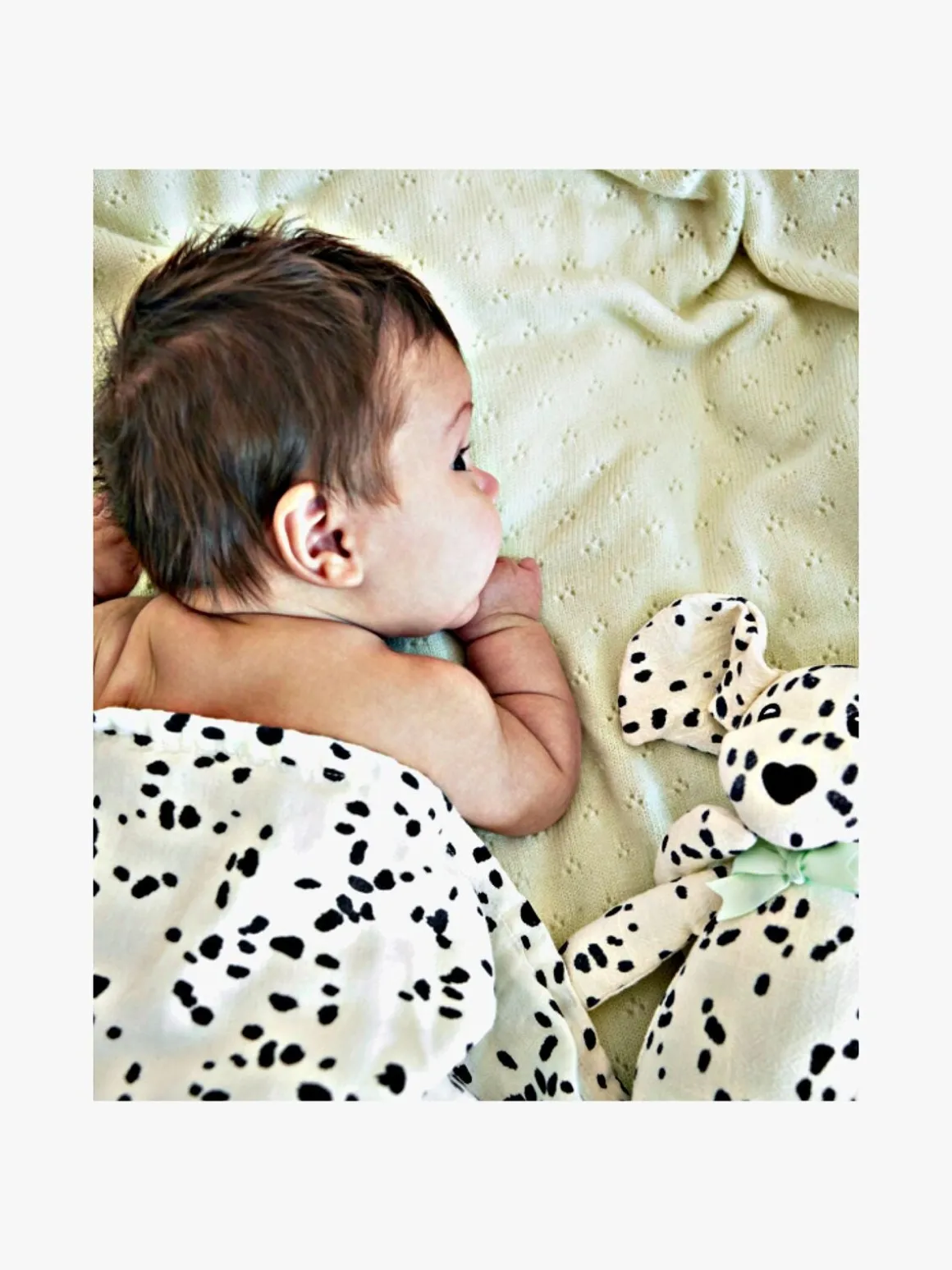 Elodie Stofble 80x80 Cm, Dalmatian Dots