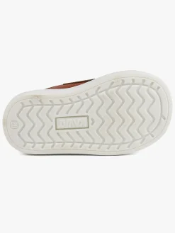 Kavat Fiskeby Begyndersko, Light brown