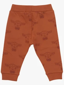 Minymo Bukser, Bombay Brown