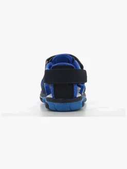 Pokémon Sandaler, Navy/Cobalt Blue
