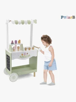 PolarB Isvogn