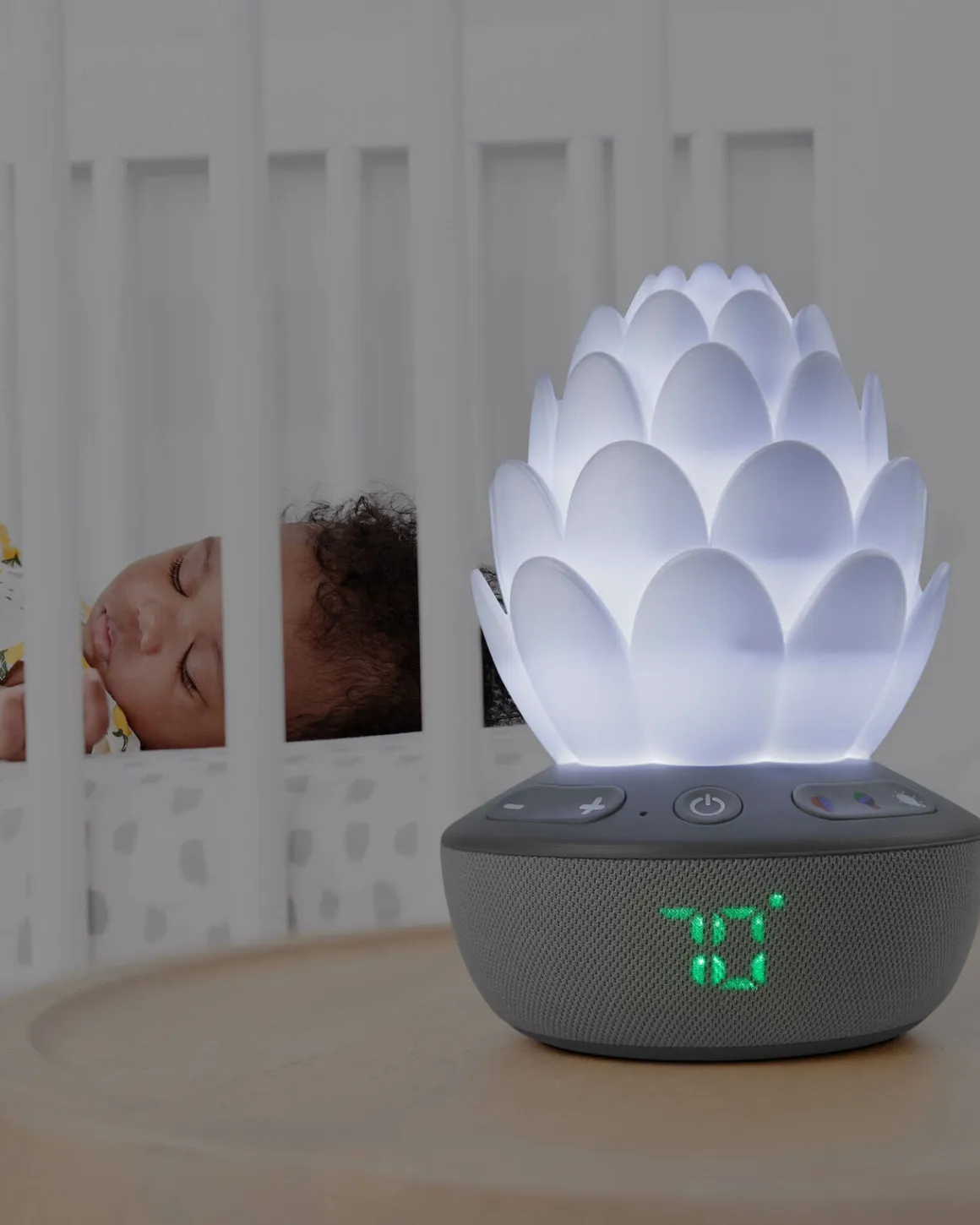 SkipHop Sukkulent Natlampe med Grædesensor