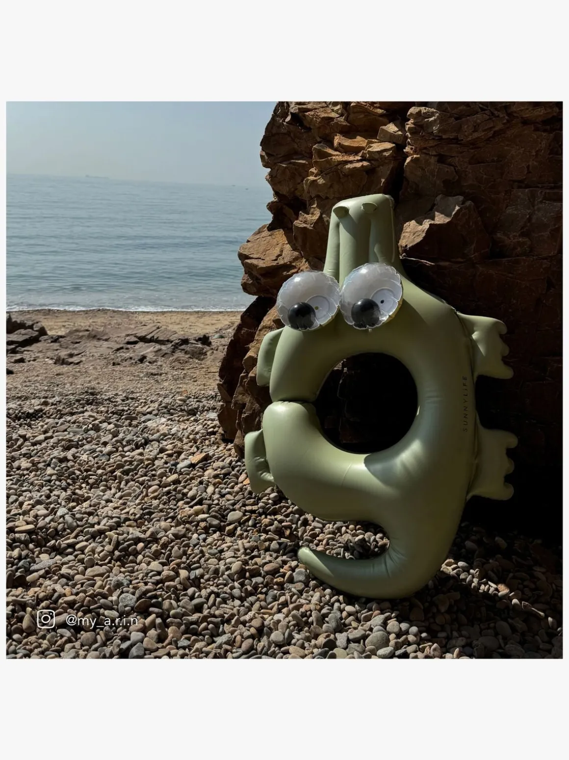 SUNNYLiFE Badering, Cookie the Croc
