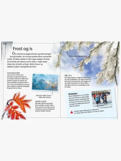Ud i naturen - Vejret